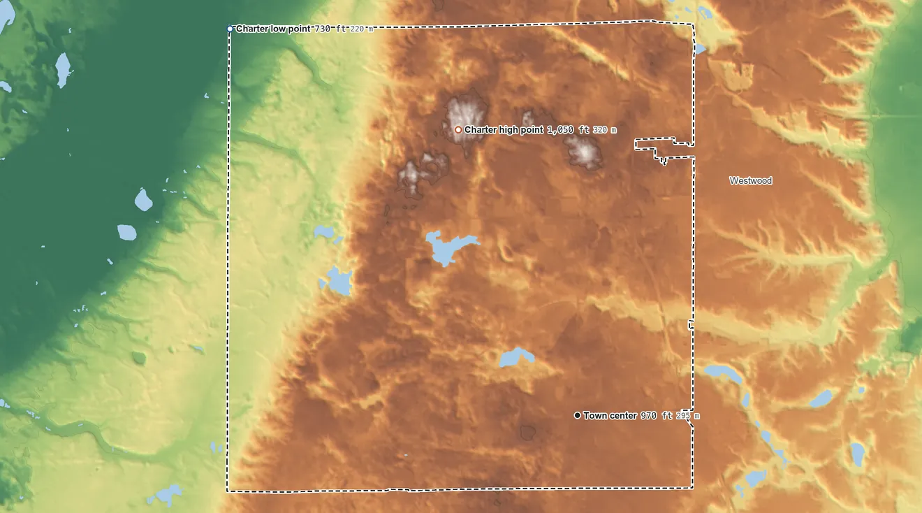 Topographic elevation map of Oshtemo Township, Michigan, shaded from 730 ft on the northwest side to 1,050 ft on the northwest side