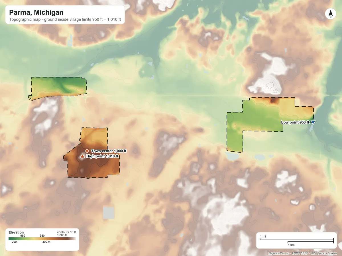 Topographic elevation map of Parma, Michigan, shaded from 950 ft on the east side to 1,010 ft near the middle