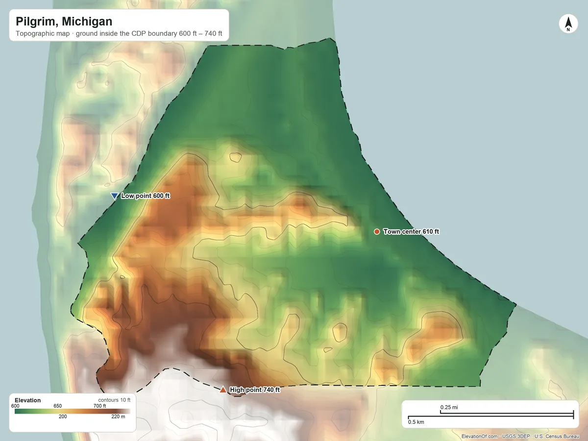 Topographic elevation map of Pilgrim, Michigan, shaded from 600 ft on the west side to 740 ft on the southwest side
