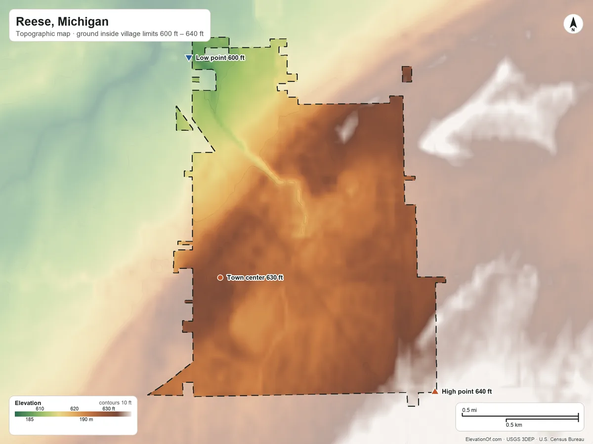 Topographic elevation map of Reese, Michigan, shaded from 600 ft on the north side to 640 ft on the southeast side