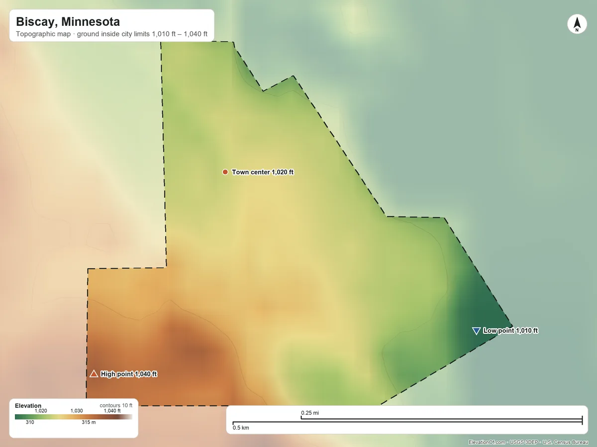Topographic elevation map of Biscay, Minnesota, shaded from 1,010 ft on the southeast side to 1,040 ft on the southwest side