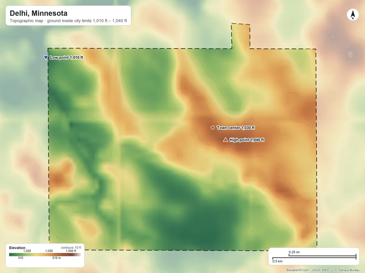 Topographic elevation map of Delhi, Minnesota, shaded from 1,010 ft on the northwest side to 1,040 ft near the middle