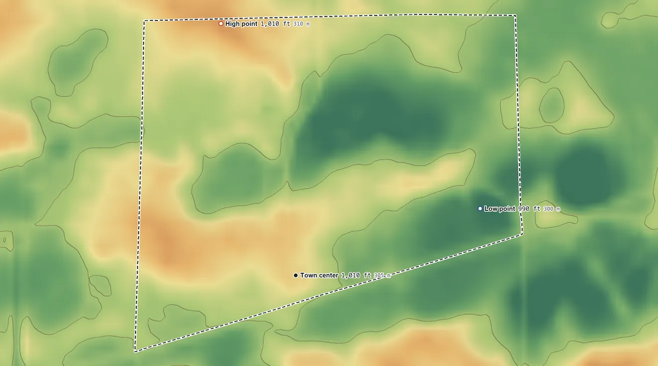 Topographic elevation map of Essig, Minnesota, shaded from 990 ft on the east side to 1,010 ft on the north side