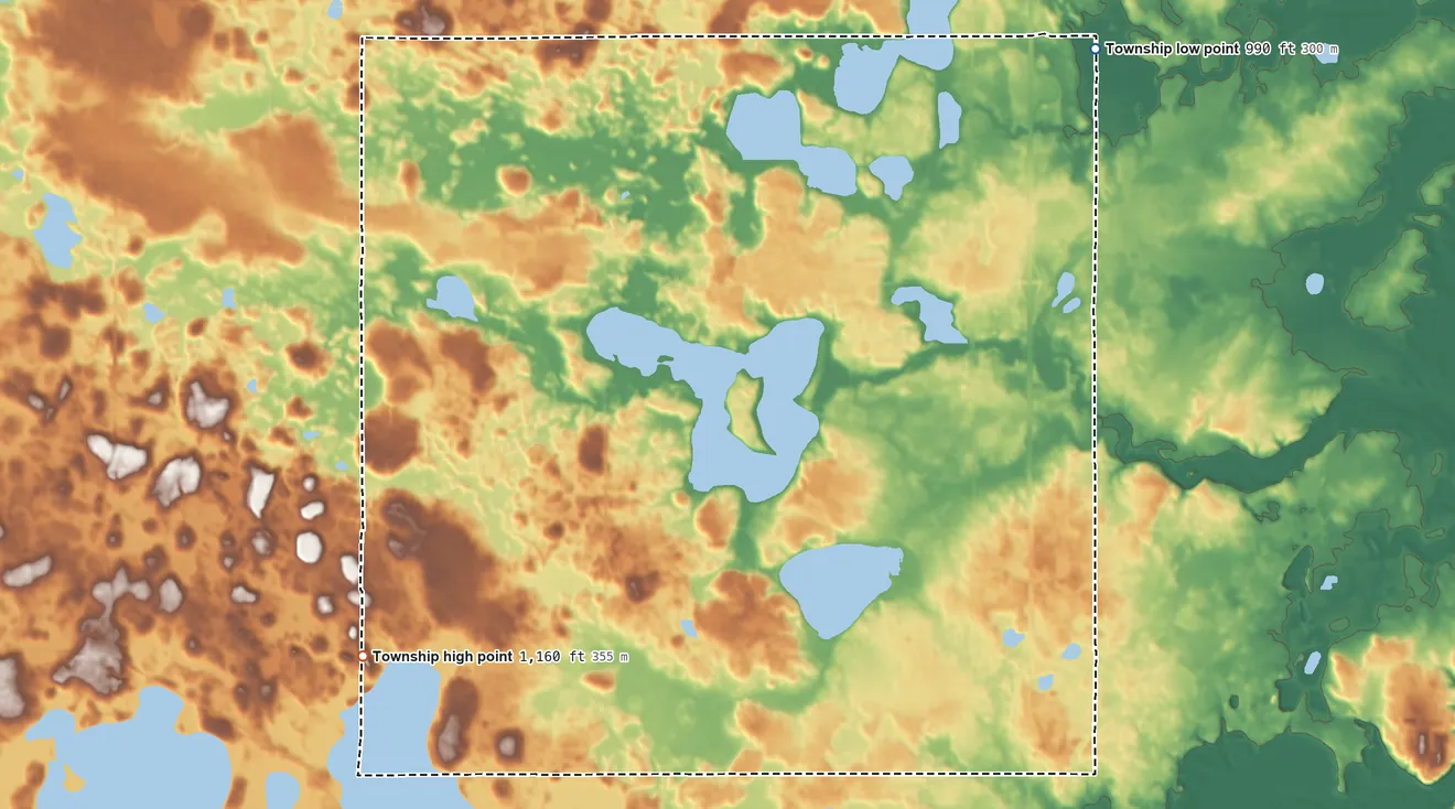 Topographic elevation map of Forest Township, Minnesota, shaded from 990 ft on the northeast side to 1,160 ft on the southwest side