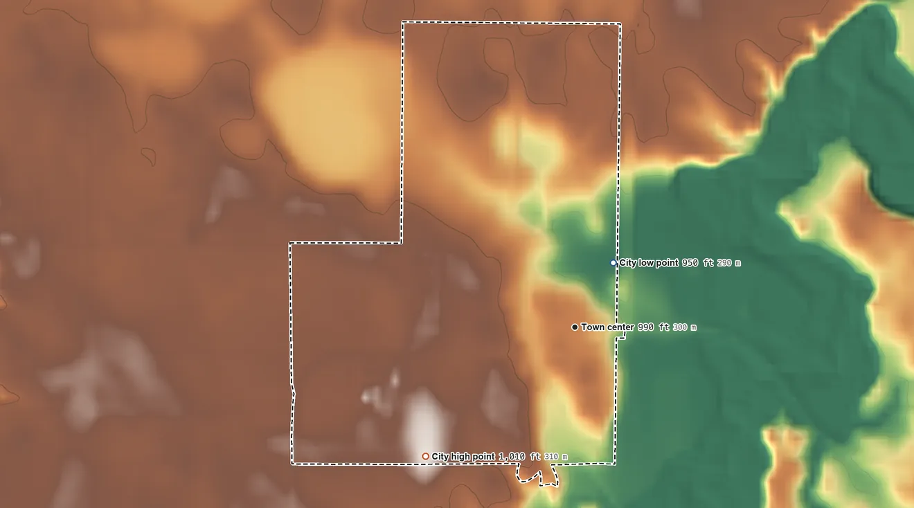 Topographic elevation map of Good Thunder, Minnesota, shaded from 950 ft on the northeast side to 1,010 ft on the southwest side