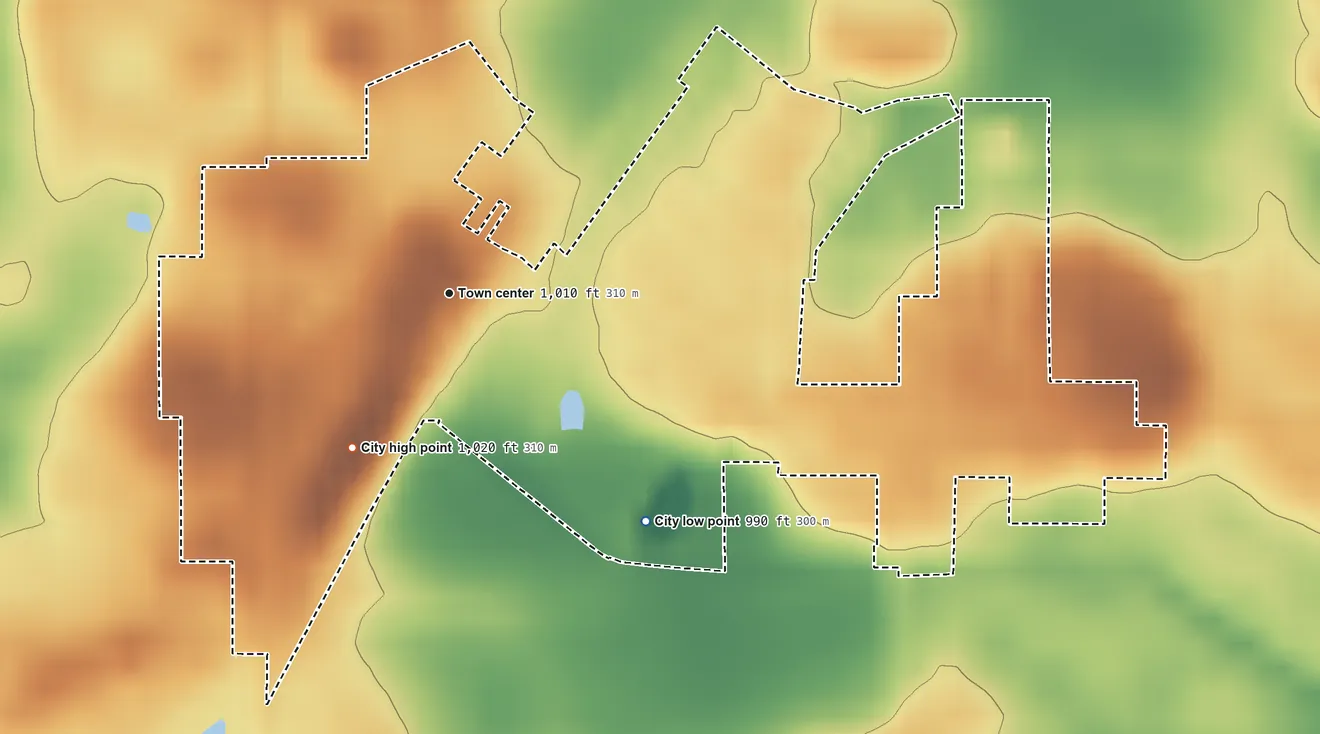 Topographic elevation map of Hamburg, Minnesota, shaded from 990 ft on the southeast side to 1,020 ft on the southwest side