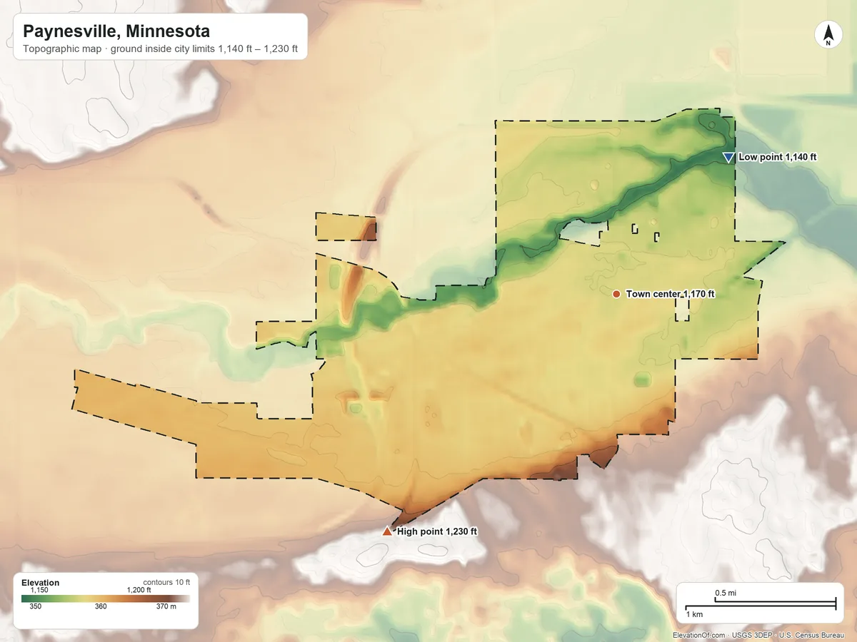Topographic elevation map of Paynesville, Minnesota, shaded from 1,140 ft on the northeast side to 1,230 ft on the southwest side
