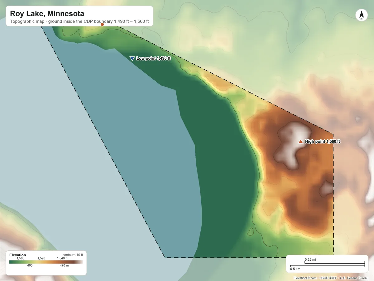 Topographic elevation map of Roy Lake, Minnesota, shaded from 1,490 ft on the southeast side to 1,560 ft on the southeast side