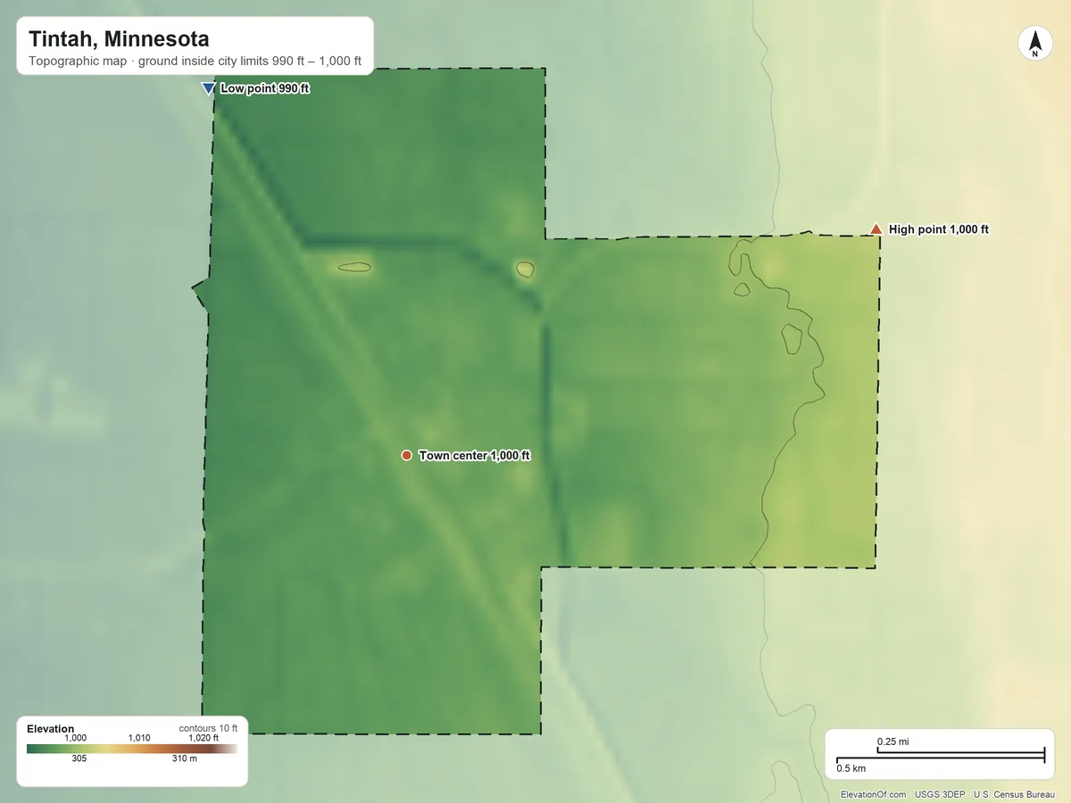 Topographic elevation map of Tintah, Minnesota, shaded from 990 ft on the northwest side to 1,000 ft on the northeast side