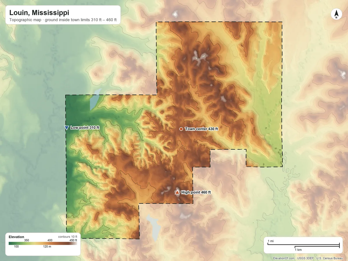 Topographic elevation map of Louin, Mississippi, shaded from 310 ft on the west side to 460 ft on the south side