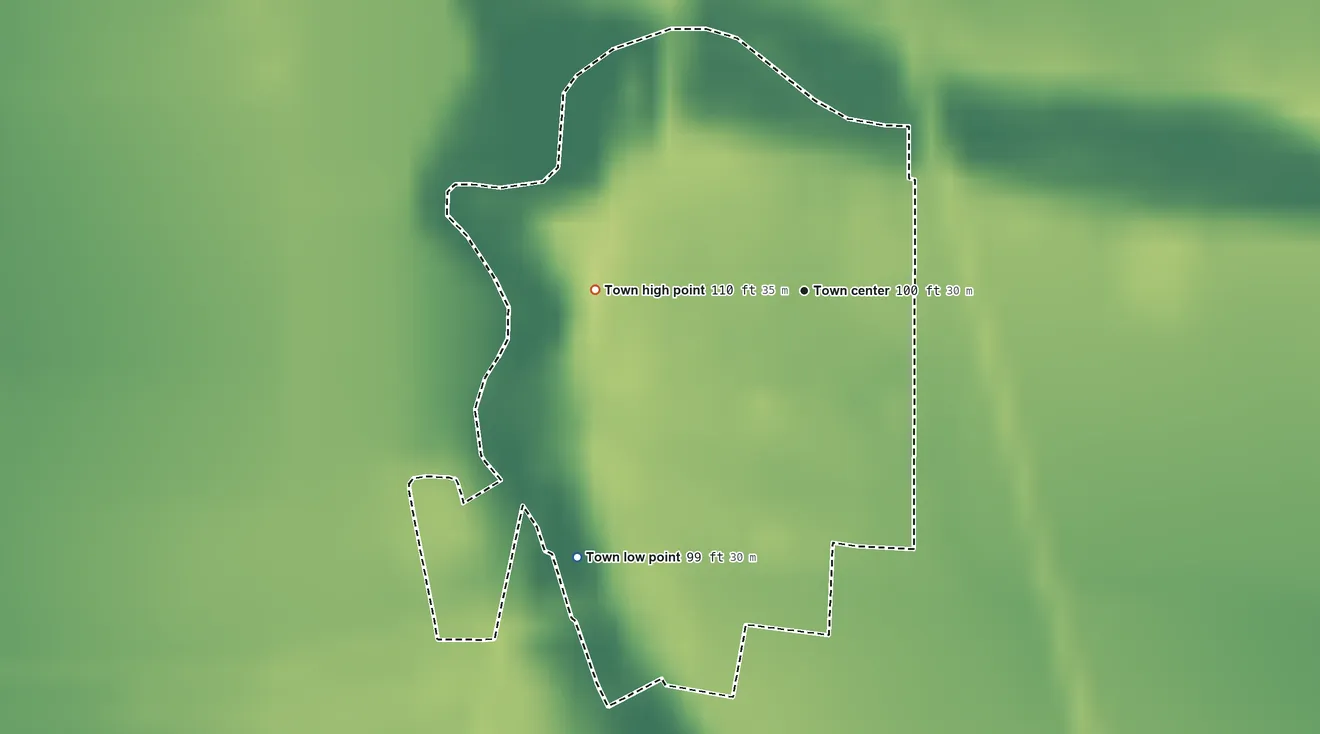 Topographic elevation map of Louise, Mississippi, shaded from 99 ft on the southwest side to 110 ft on the west side