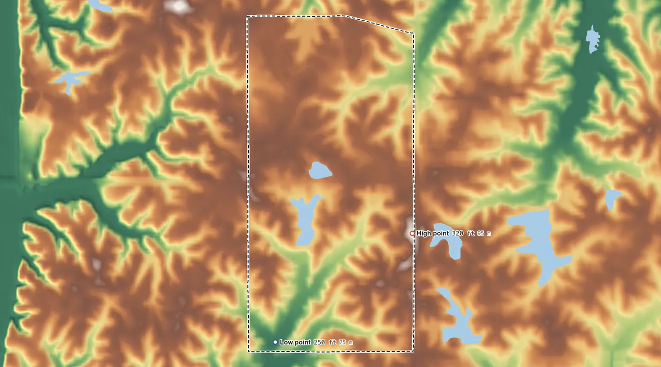 Topographic elevation map of Lynchburg, Mississippi, shaded from 250 ft on the south side to 320 ft on the southeast side
