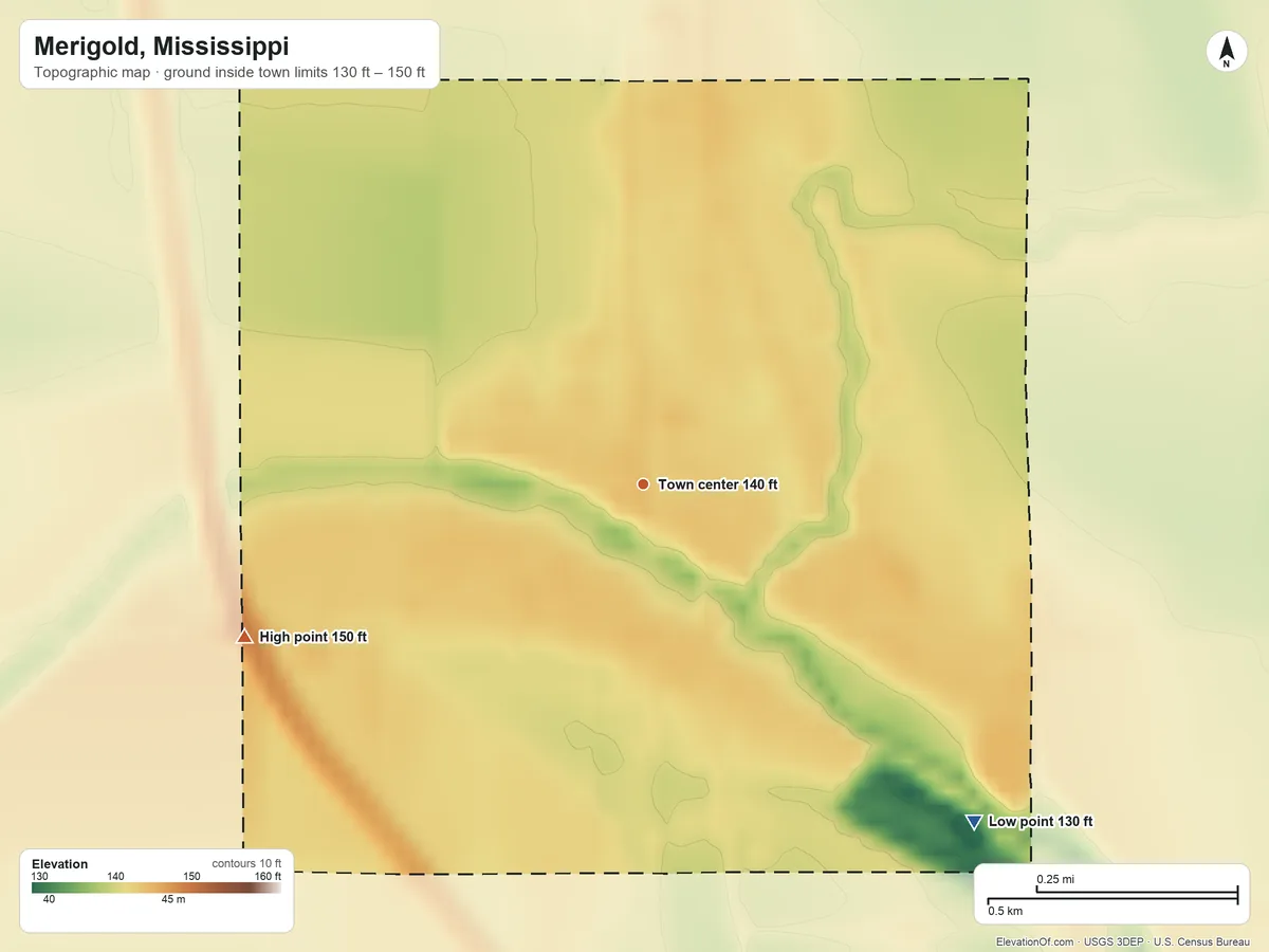 Topographic elevation map of Merigold, Mississippi, shaded from 130 ft on the southeast side to 150 ft on the west side