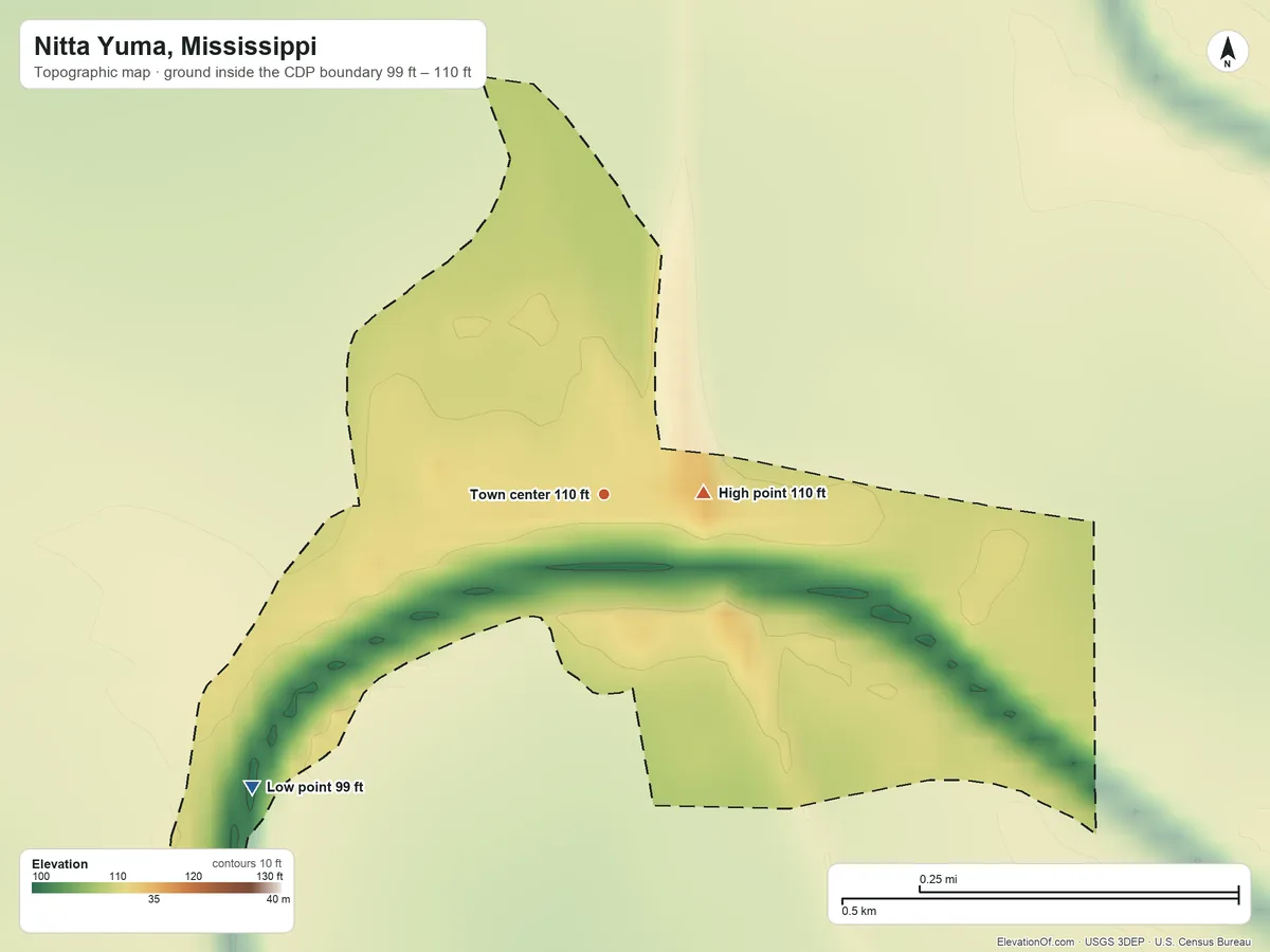 Topographic elevation map of Nitta Yuma, Mississippi, shaded from 99 ft on the southwest side to 110 ft near the middle