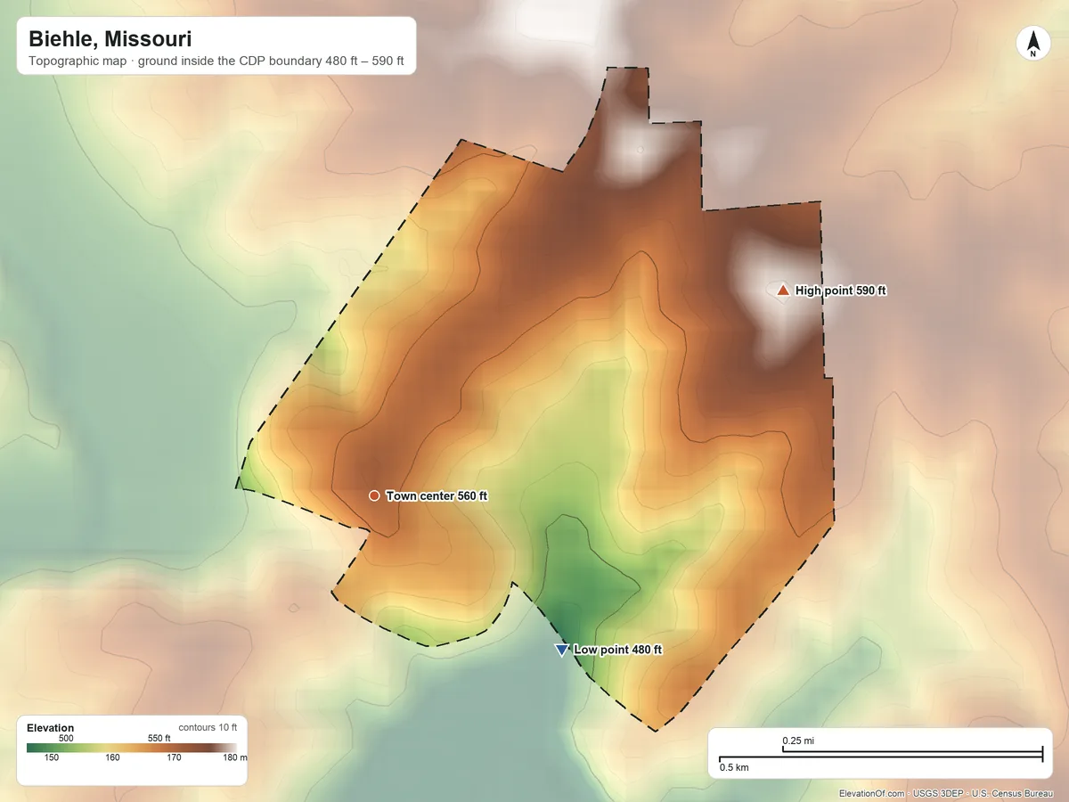 Topographic elevation map of Biehle, Missouri, shaded from 480 ft on the southeast side to 590 ft on the northeast side