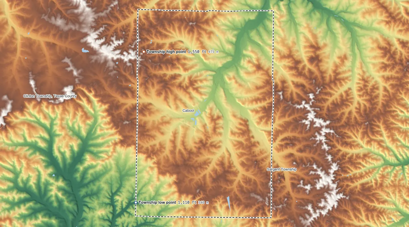 Topographic elevation map of Burdine Township, Missouri, shaded from 1,110 ft on the southwest side to 1,550 ft on the northwest side