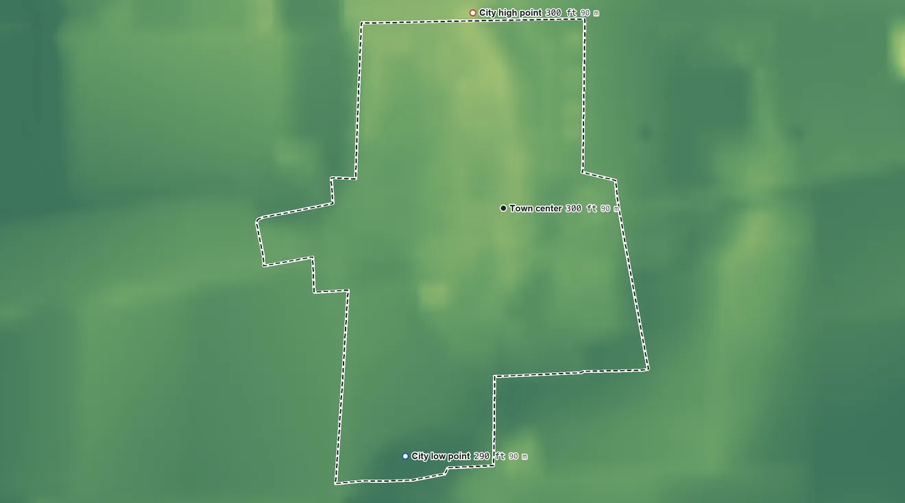 Topographic elevation map of Essex, Missouri, shaded from 290 ft on the south side to 300 ft on the north side