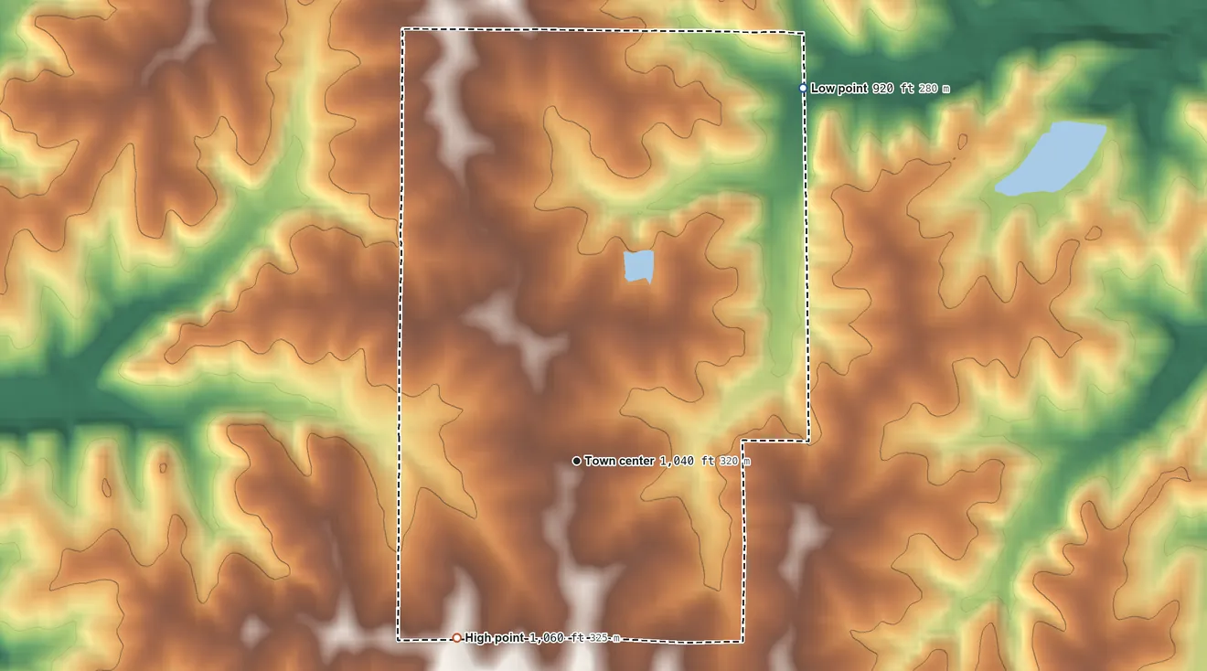 Topographic elevation map of Vibbard, Missouri, shaded from 920 ft on the northeast side to 1,060 ft on the southwest side
