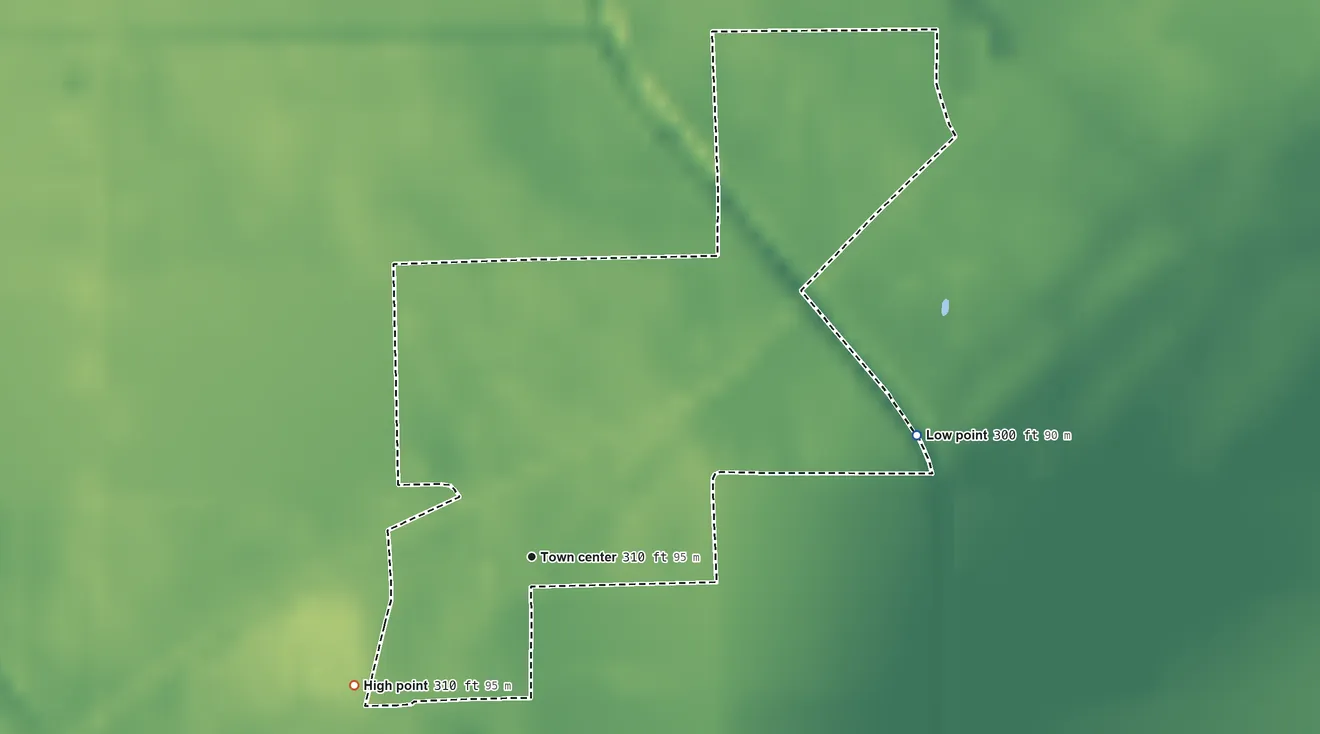 Topographic elevation map of Whiting, Missouri, shaded from 300 ft on the east side to 310 ft on the southwest side