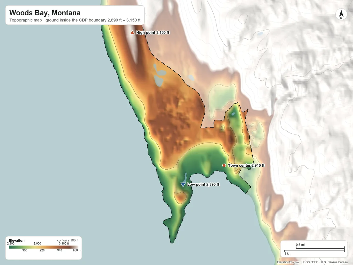 Topographic elevation map of Woods Bay, Montana, shaded from 2,890 ft on the southwest side to 3,150 ft on the northwest edge, below higher ground just outside