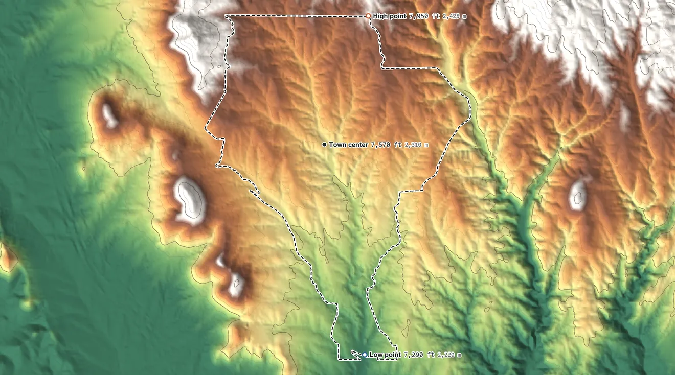 Topographic elevation map of Cañada de los Alamos, New Mexico, shaded from 7,290 ft on the south side to 7,950 ft on the north edge, below higher ground just outside