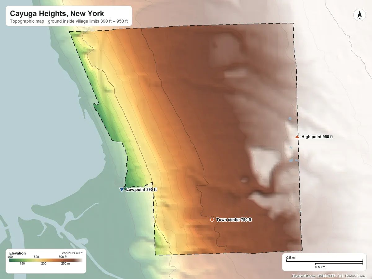Topographic elevation map of Cayuga Heights, New York, shaded from 390 ft on the west side to 950 ft on the northeast side