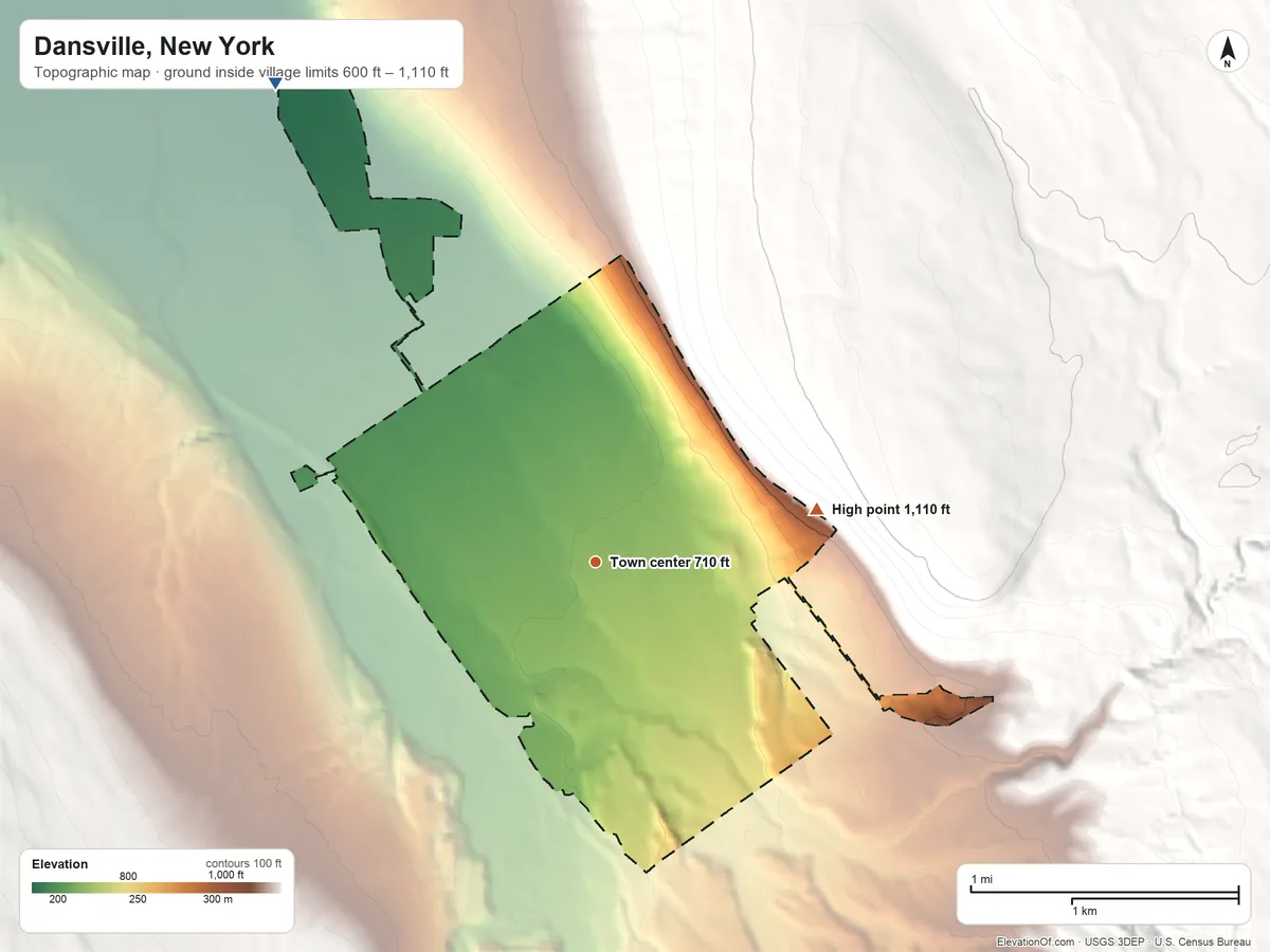 Topographic elevation map of Dansville, New York, shaded from 600 ft on the northwest side to 1,110 ft on the east edge, below higher ground just outside