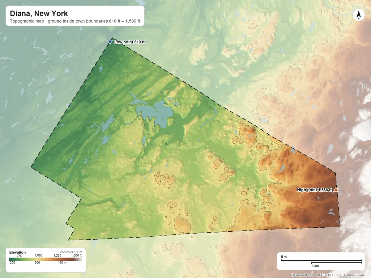 Topographic elevation map of Diana, New York, shaded from 610 ft on the northwest side to 1,580 ft on the east side
