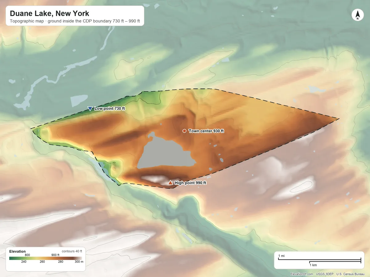 Topographic elevation map of Duane Lake, New York, shaded from 730 ft on the west side to 990 ft on the south side