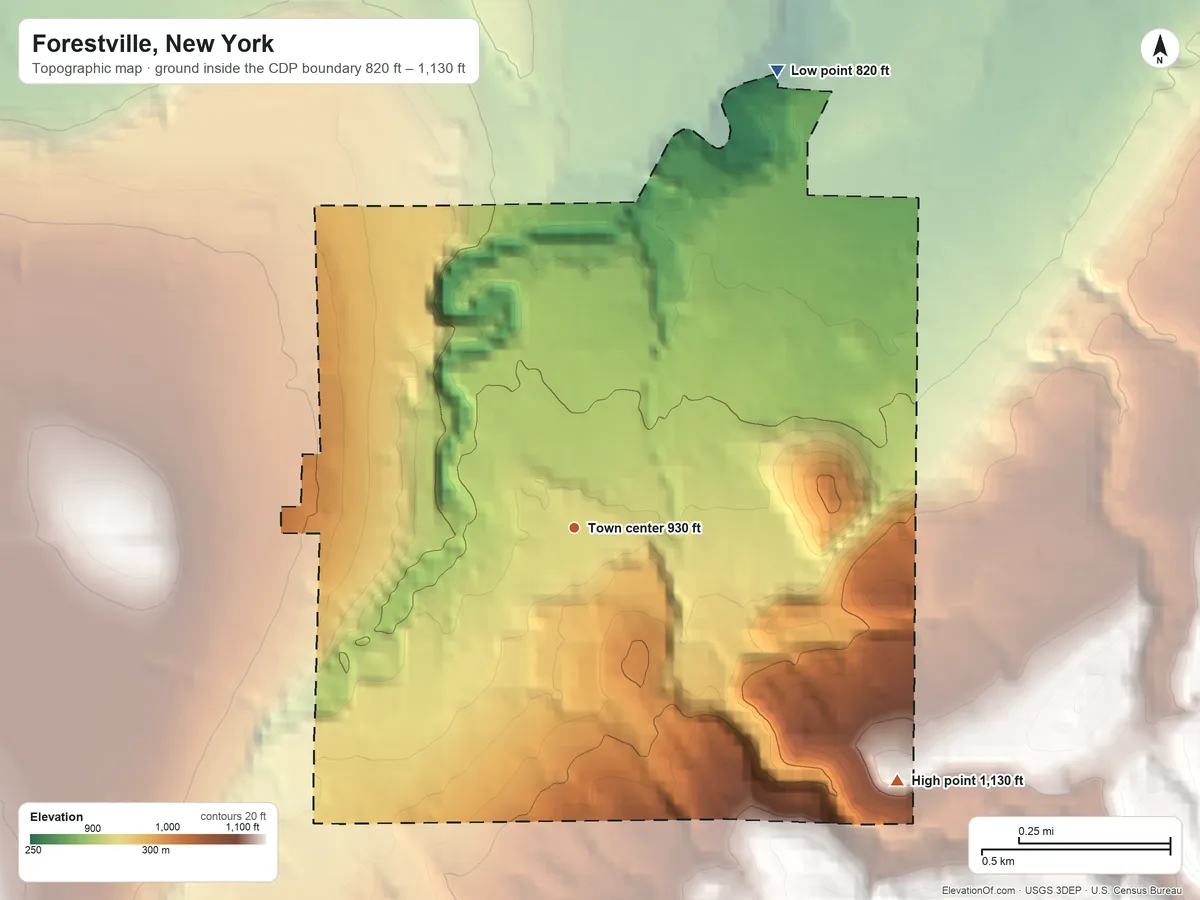 Topographic elevation map of Forestville, New York, shaded from 820 ft on the northeast side to 1,130 ft on the southeast edge, below higher ground just outside