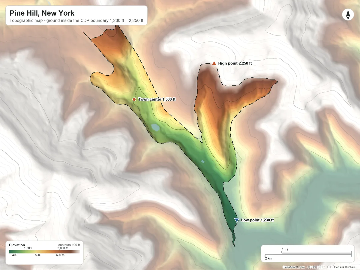 Topographic elevation map of Pine Hill, New York, shaded from 1,230 ft on the southeast side to 2,250 ft at the foot of the Burroughs Range