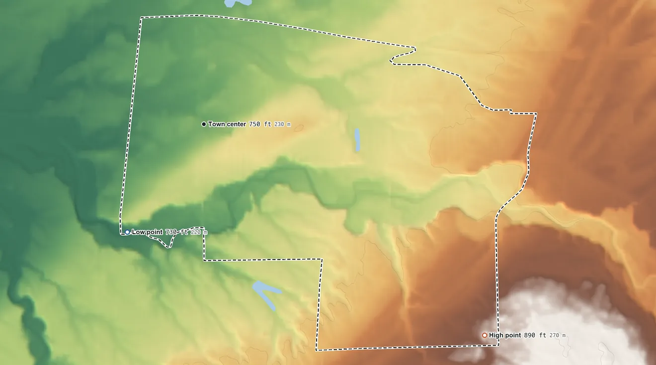 Topographic elevation map of Town Line, New York, shaded from 730 ft on the southwest side to 890 ft on the southeast side