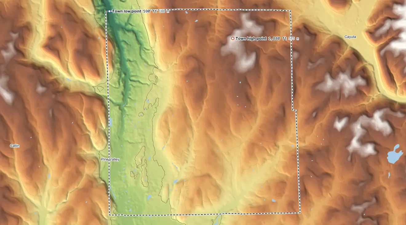 Topographic elevation map of Veteran, New York, shaded from 590 ft on the northwest side to 1,880 ft on Terry Hill