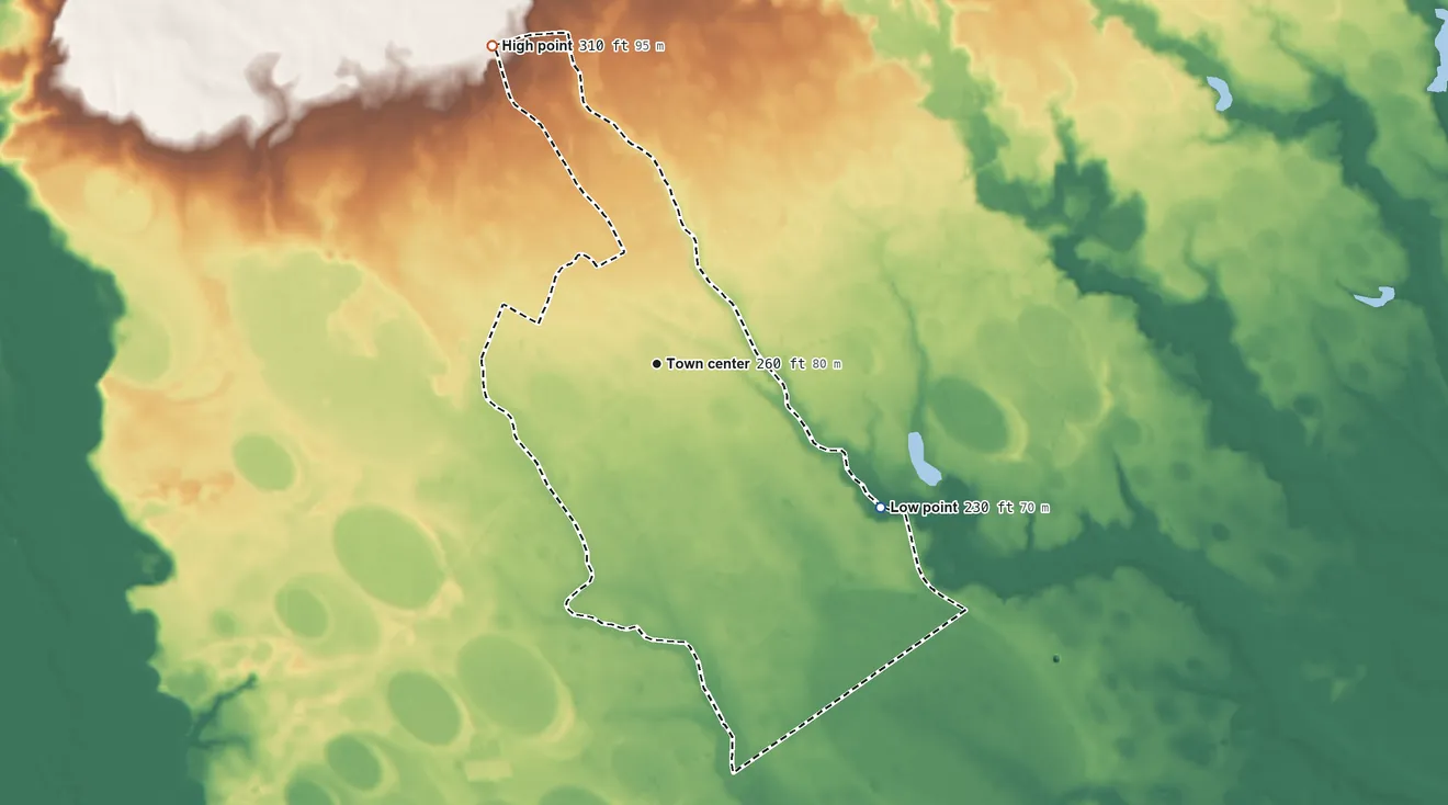 Topographic elevation map of Bowmore, North Carolina, shaded from 230 ft on the southeast side to 310 ft on the northwest side