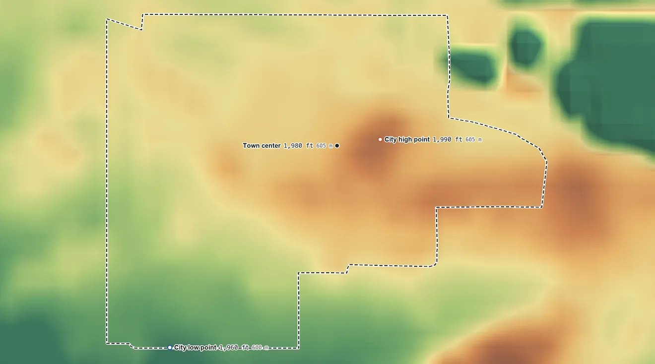 Topographic elevation map of Lignite, North Dakota, shaded from 1,960 ft on the southwest side to 1,990 ft near the middle