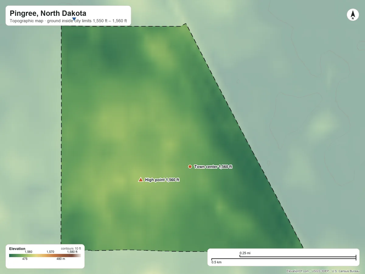 Topographic elevation map of Pingree, North Dakota, shaded from 1,550 ft on the northwest side to 1,560 ft on the west side