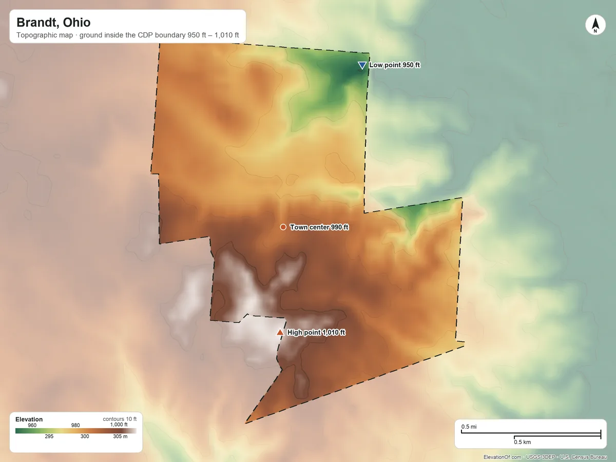 Topographic elevation map of Brandt, Ohio, shaded from 950 ft on the northeast side to 1,010 ft on the south side