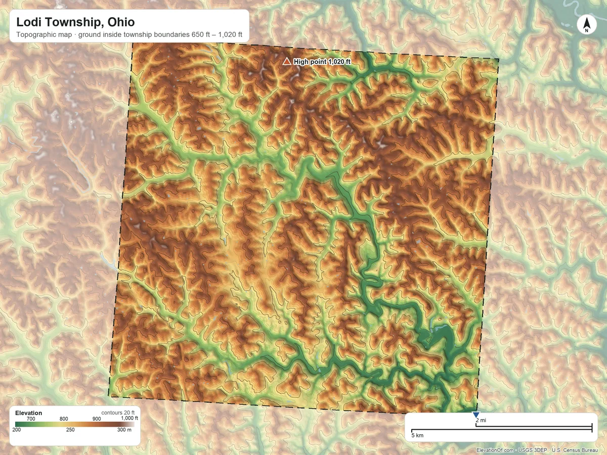 Topographic elevation map of Lodi Township, Ohio, shaded from 650 ft on the southeast side to 1,020 ft on the north side