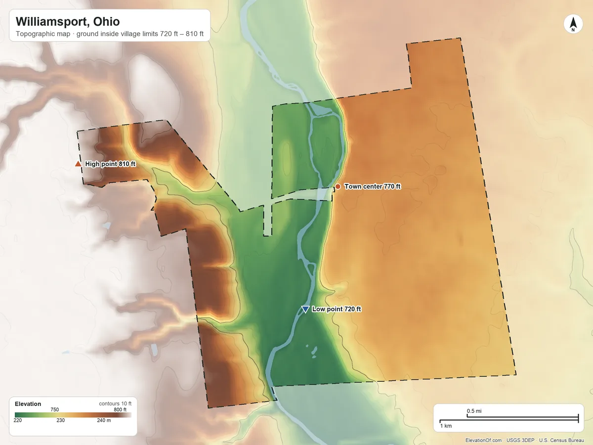 Topographic elevation map of Williamsport, Ohio, shaded from 720 ft on the south side to 810 ft on the west side