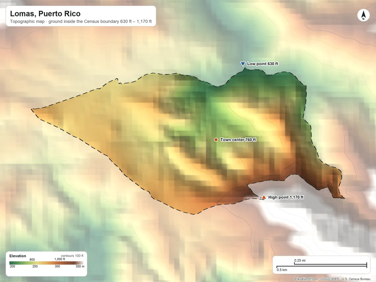 Topographic elevation map of Lomas, Puerto Rico, shaded from 630 ft on the north side to 1,170 ft at the foot of the Sierra de Luquillo