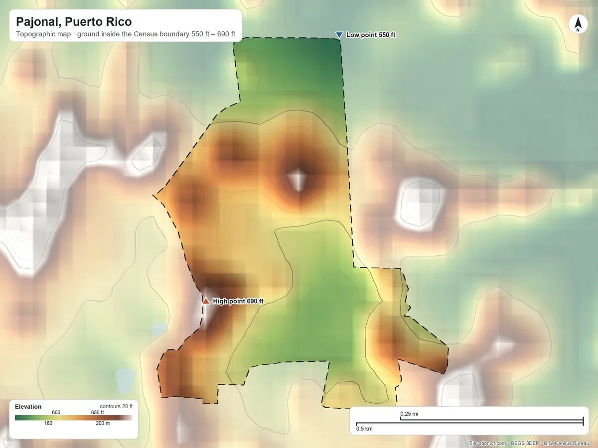 Topographic elevation map of Pajonal, Puerto Rico, shaded from 550 ft on the north side to 690 ft near the middle