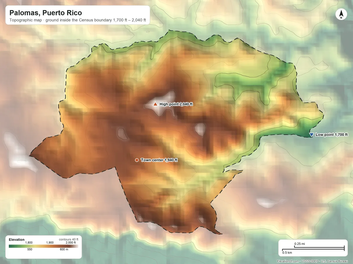 Topographic elevation map of Palomas, Puerto Rico, shaded from 1,700 ft on the east side to 2,040 ft on the north side