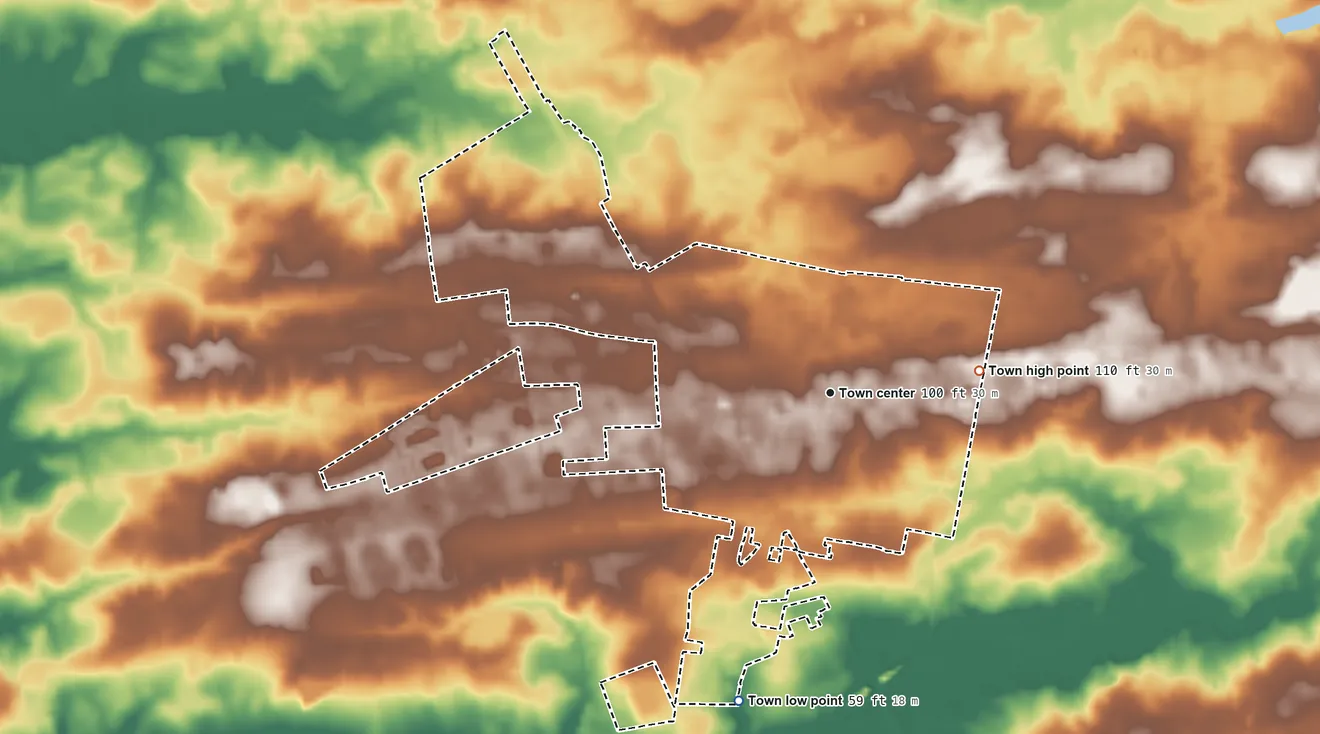 Topographic elevation map of Aynor, South Carolina, shaded from 59 ft on the south side to 110 ft on the east side