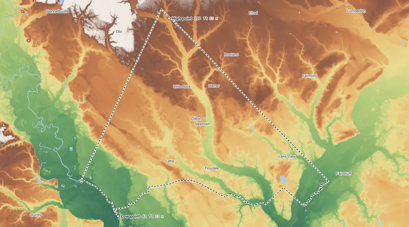 Topographic elevation map of Dillon County, South Carolina, shaded from 42 ft on the southwest side to 180 ft on the north side