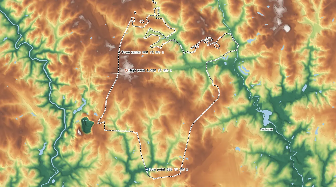 Topographic elevation map of Gantt, South Carolina, shaded from 800 ft on the south side to 1,020 ft near the middle