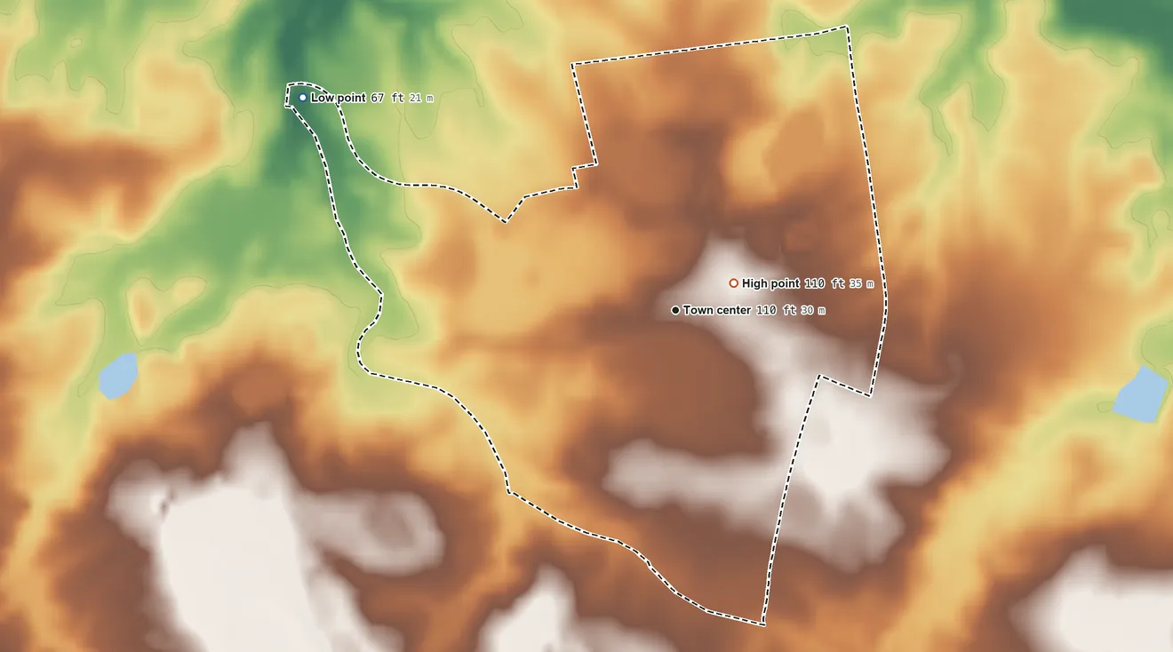 Topographic elevation map of Live Oak, South Carolina, shaded from 67 ft on the northwest side to 110 ft near the middle