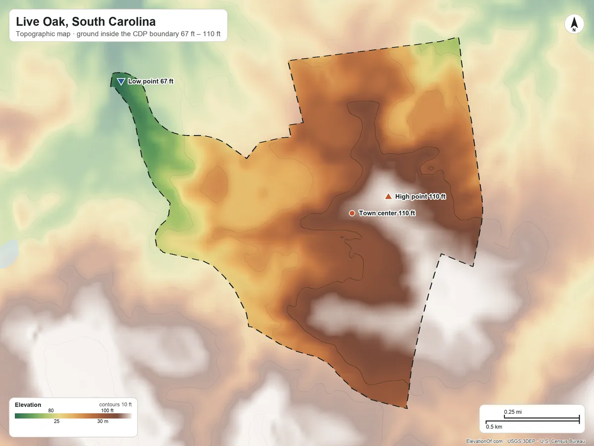 Topographic elevation map of Live Oak, South Carolina, shaded from 67 ft on the northwest side to 110 ft near the middle