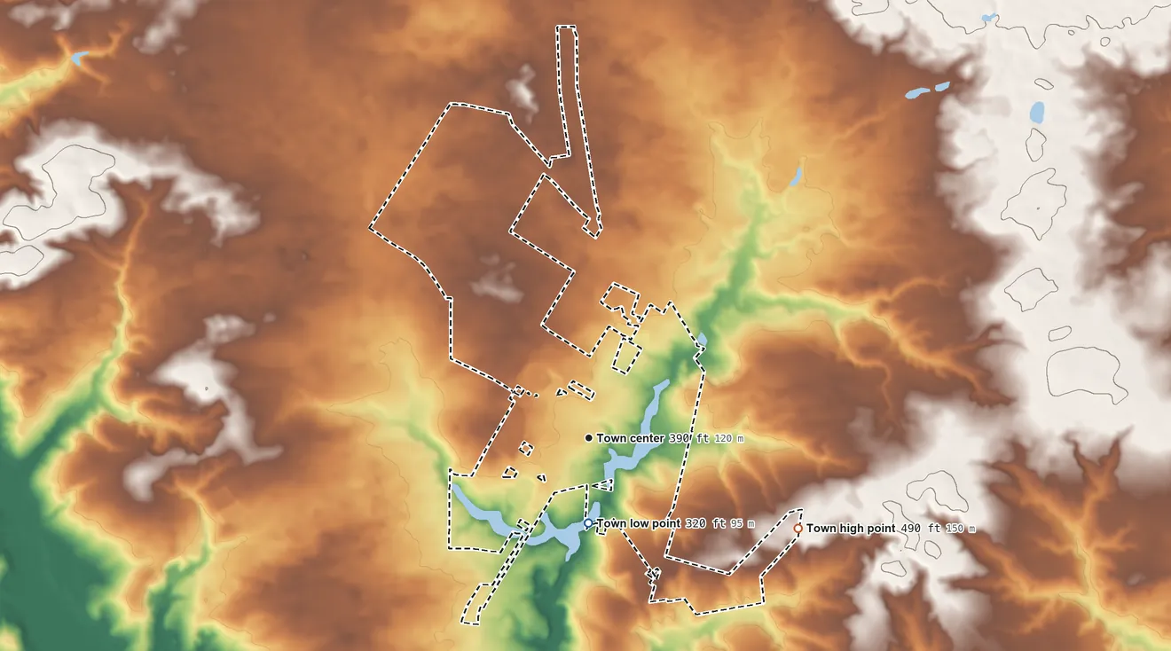 Topographic elevation map of Pelion, South Carolina, shaded from 320 ft on the south side to 490 ft on the southeast side