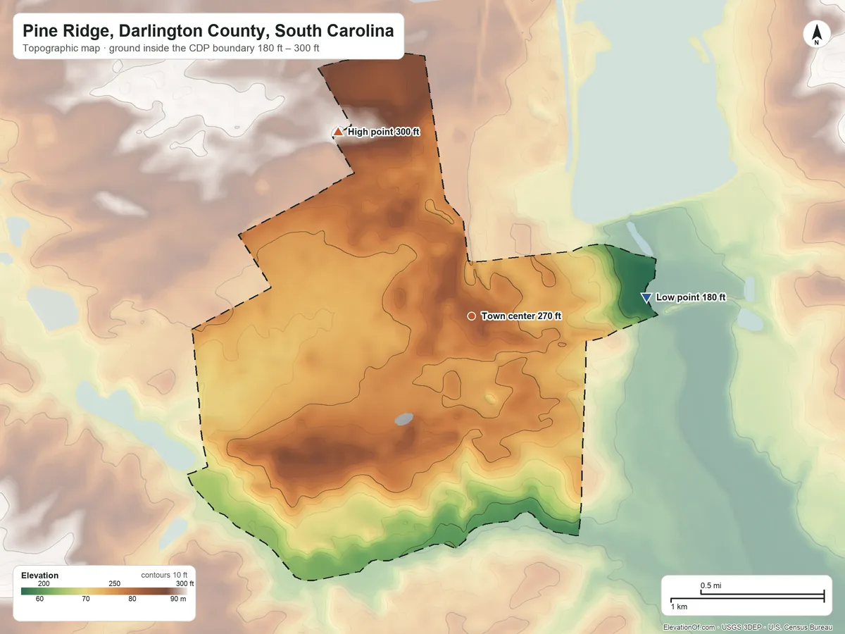 Topographic elevation map of Pine Ridge, Darlington County, South Carolina, shaded from 180 ft on the east side to 300 ft on the northwest side