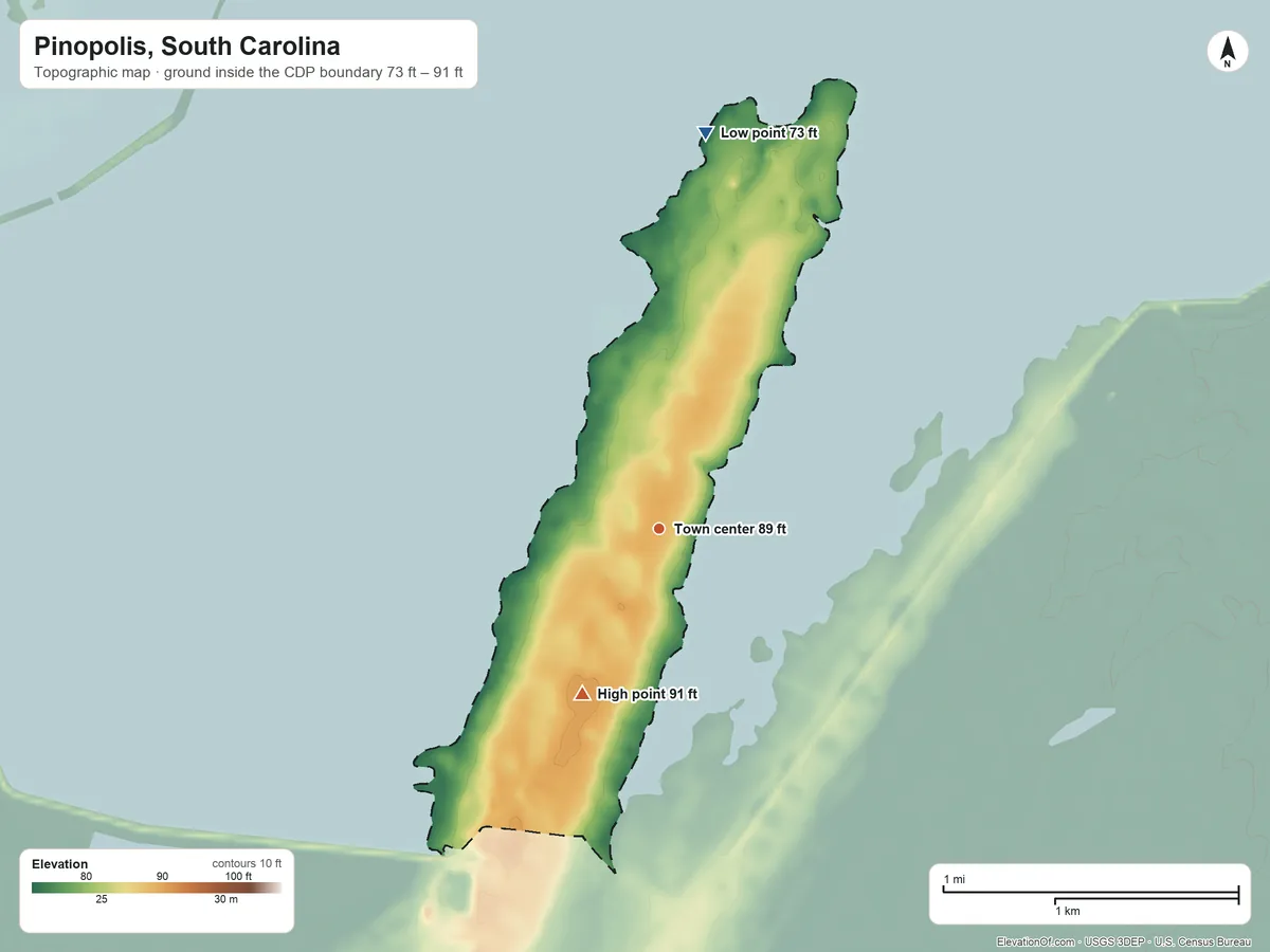 Topographic elevation map of Pinopolis, South Carolina, shaded from 73 ft on the north side to 91 ft on the southwest side
